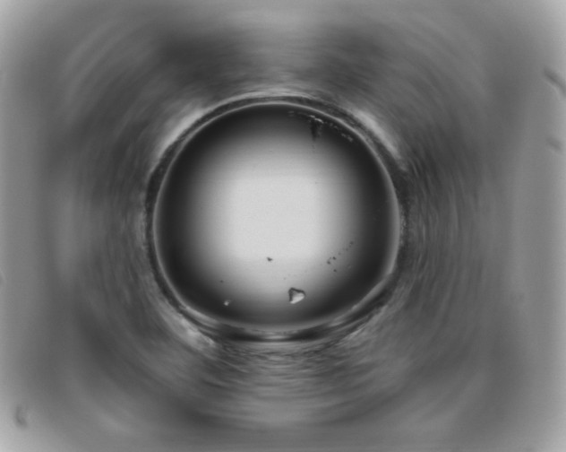 X0000095961460200801111352