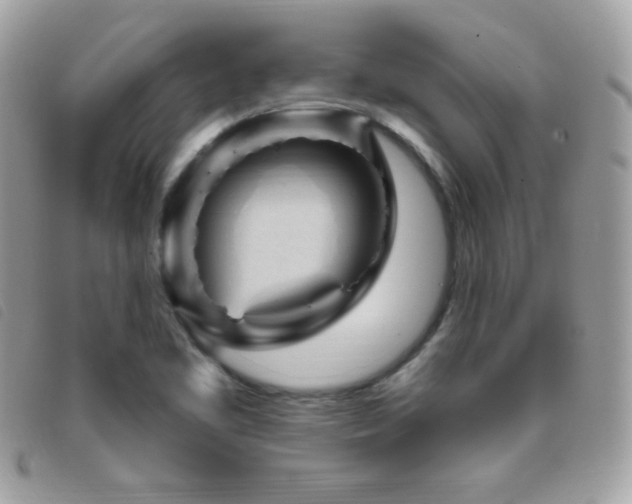 X0000095961461200801111352