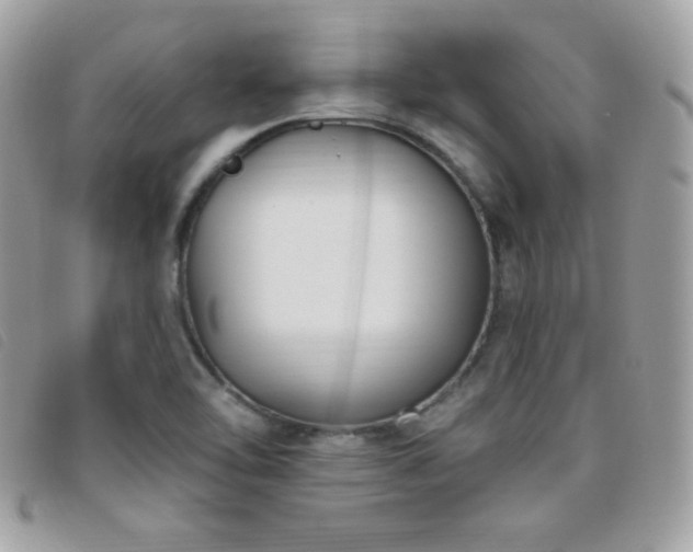 X0000095961462200801111352