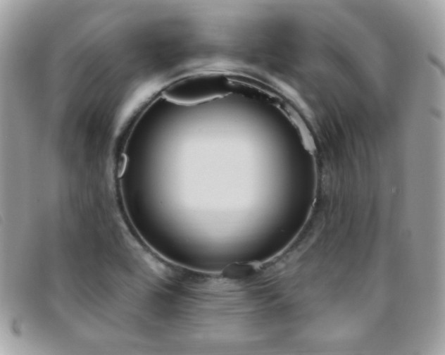 X0000095961464200801111352