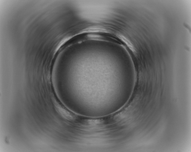 X0000095961465200801111352