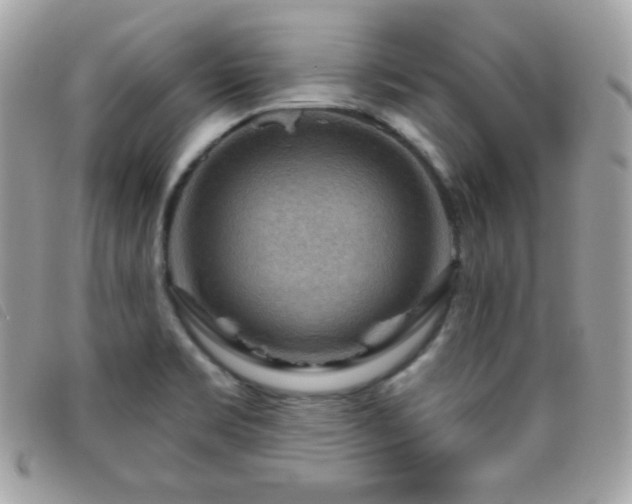 X0000095961469200801111351