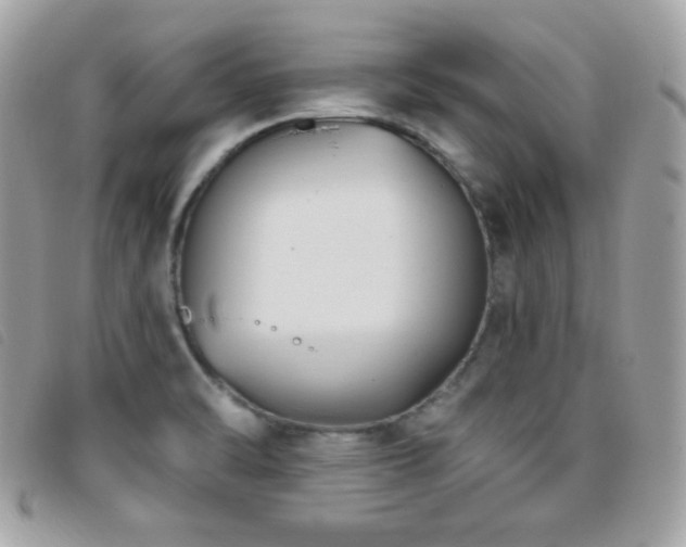 X0000095961470200801111351