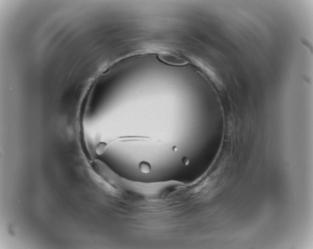 X0000095961471200801111351