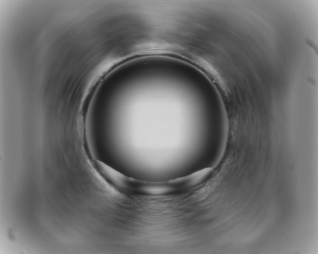 X0000095961472200801111351