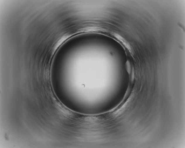X0000095961473200801111351