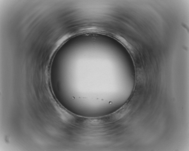 X0000095961474200801111351