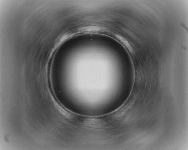 X0000095961475200801111351