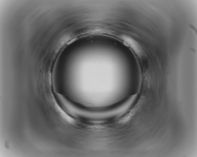 X0000095961476200801111351