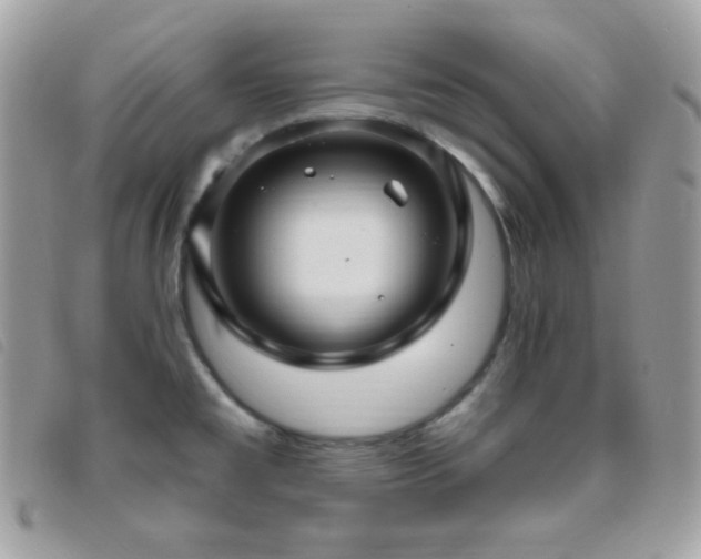 X0000095961477200801111351