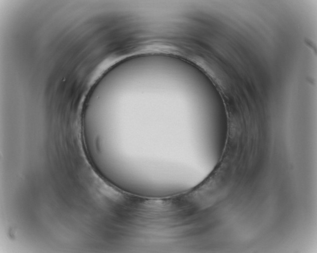 X0000095961478200801111351