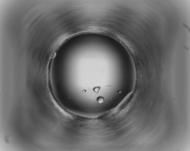 X0000095961479200801111351