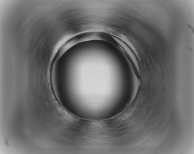 X0000095961480200801111351