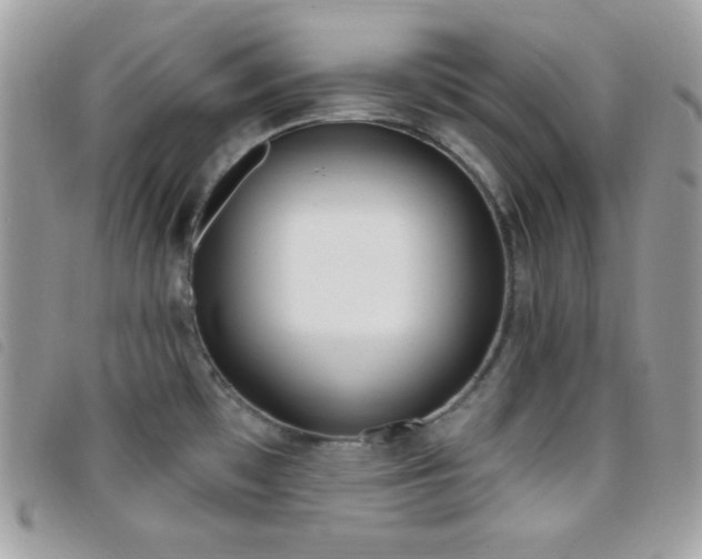 X0000095961481200801111351