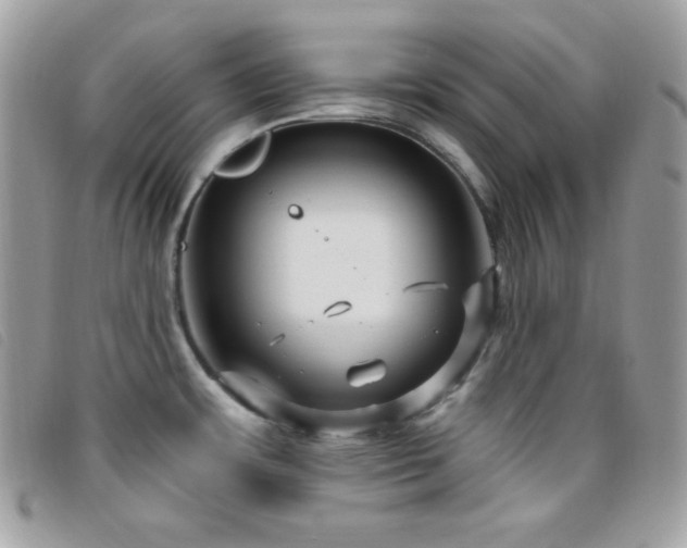 X0000095961483200801111351