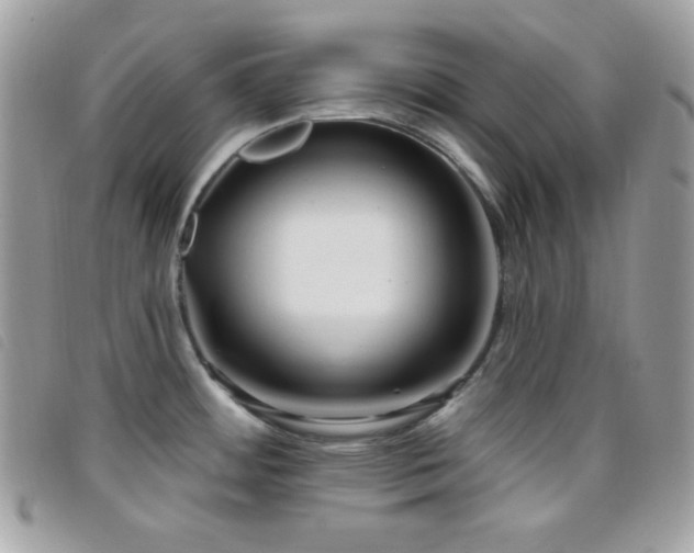 X0000095961484200801111351