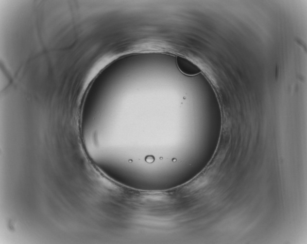 X0000095961486200801111351