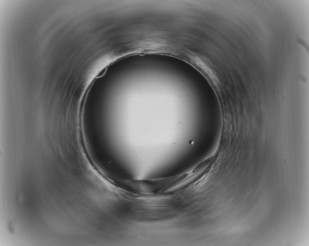 X0000095961487200801111351
