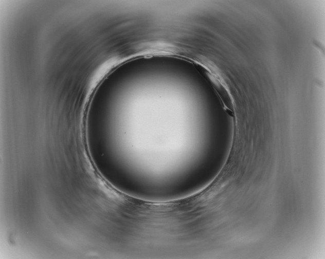 X0000095961488200801111351