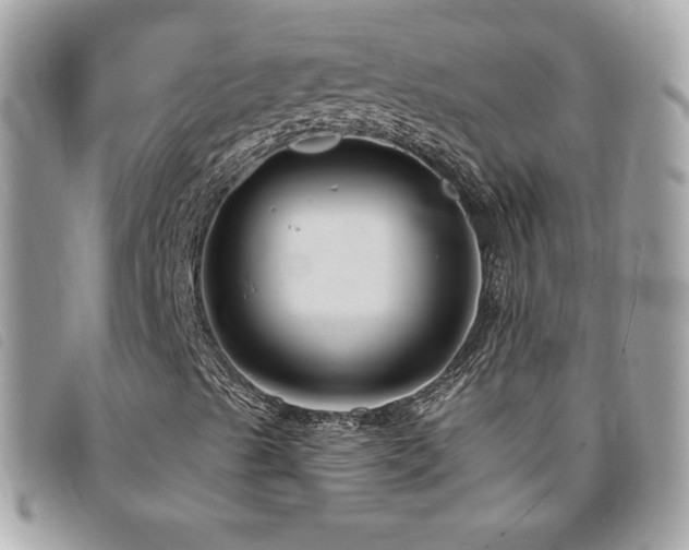 X0000095961489200801111350