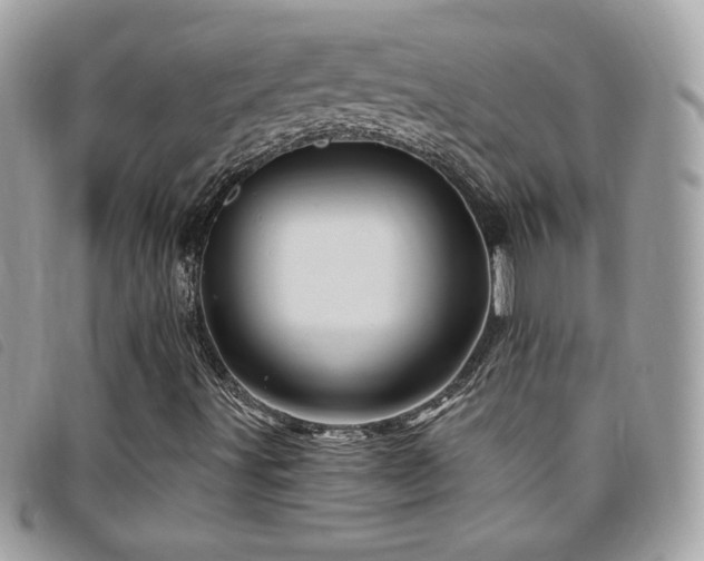 X0000095961491200801111350
