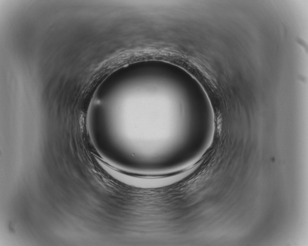 X0000095961492200801111350
