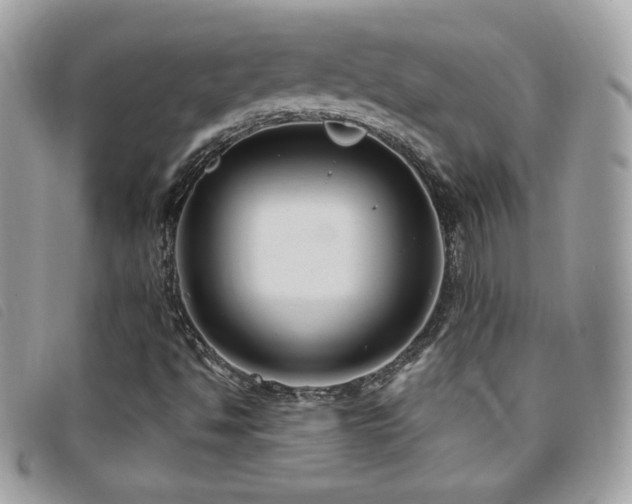 X0000095961494200801111350