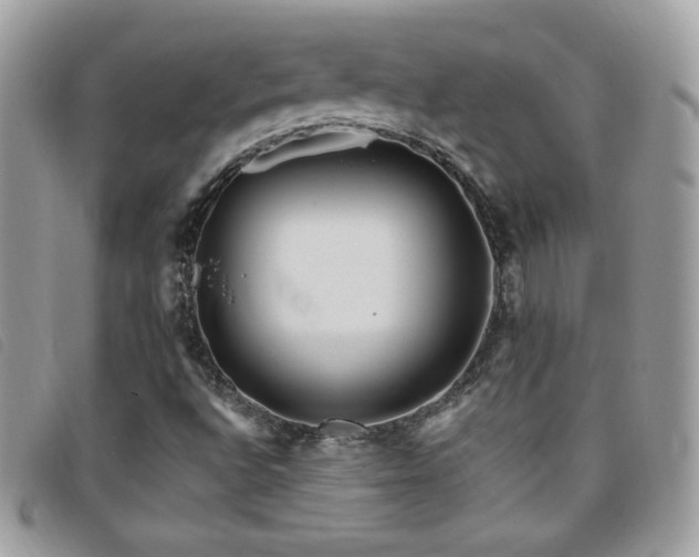 X0000095961496200801111350