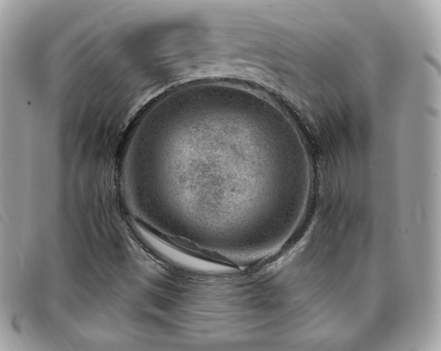 X0000095961497200801111350