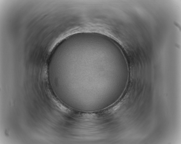 X0000095961498200801111350