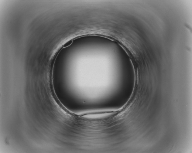 X0000095961500200801111351
