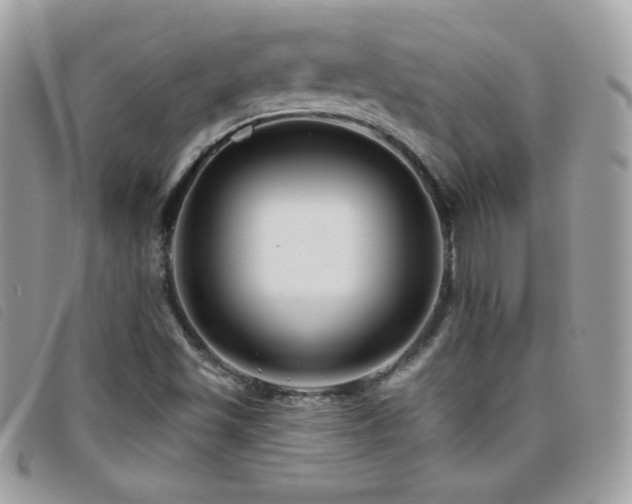 X0000095961501200801111351
