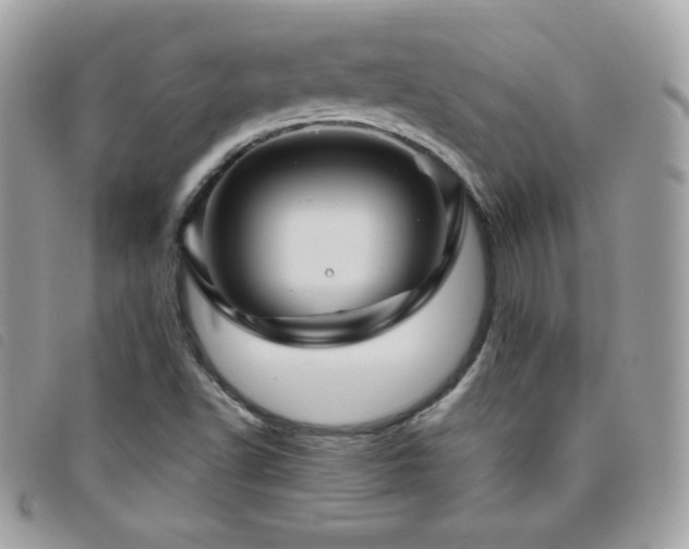 X0000095961502200801111351