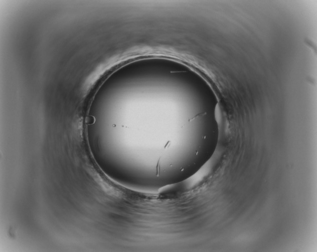 X0000095961503200801111351