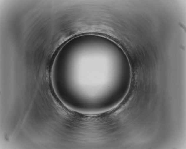 X0000095961505200801111351