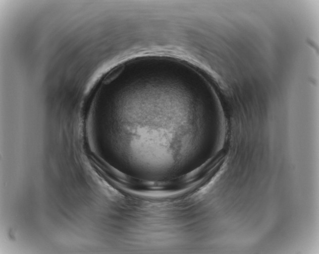 X0000095961506200801111351