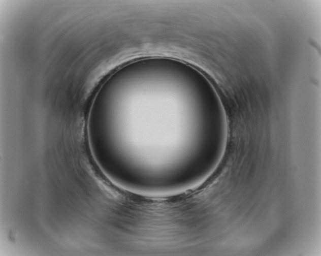 X0000095961507200801111351