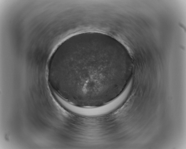 X0000095961508200801111351