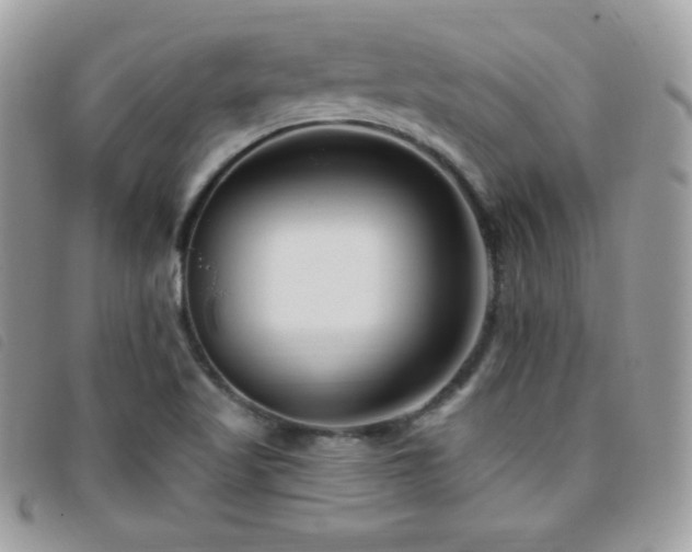 X0000095961509200801111351