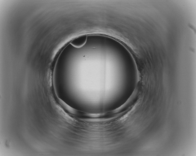 X0000095961510200801111351