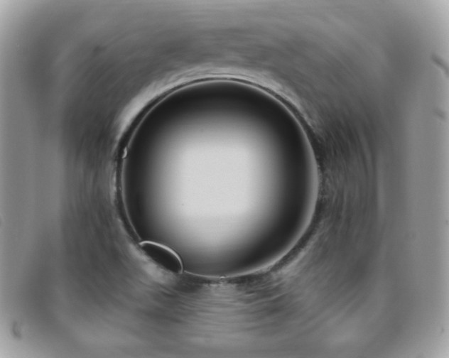X0000095961511200801111351