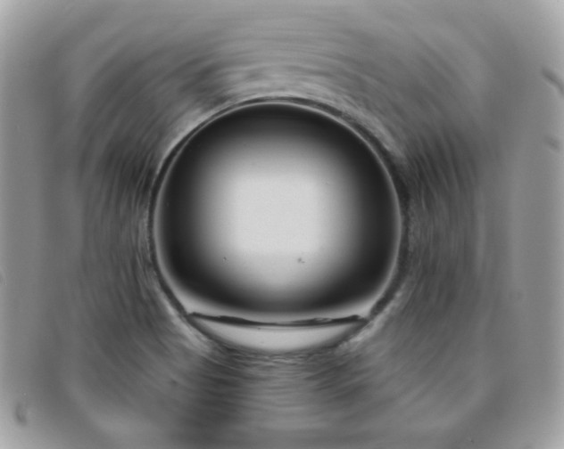 X0000095961513200801111351