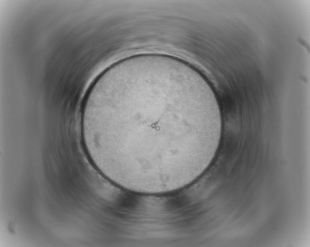 X0000095961514200801111351