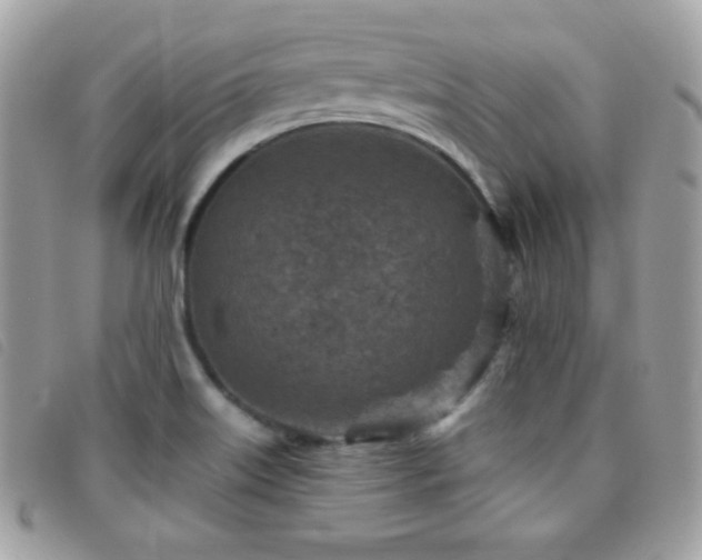 X0000095961515200801111351