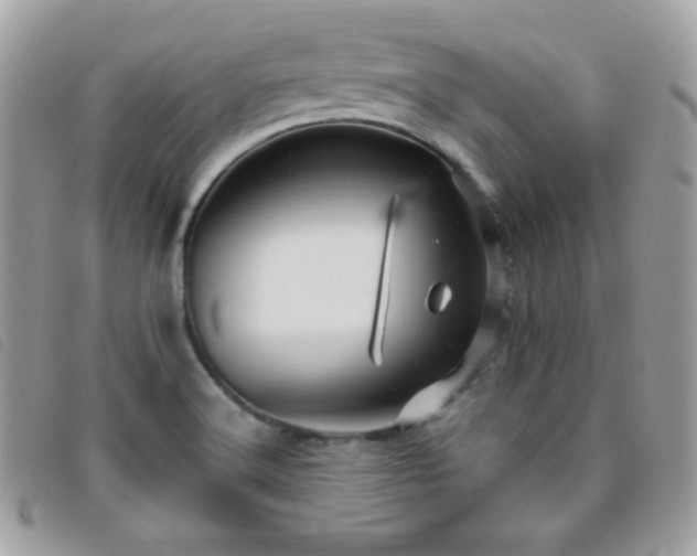 X0000095961516200801111351