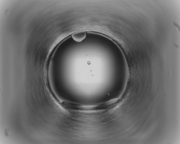 X0000095961517200801111351