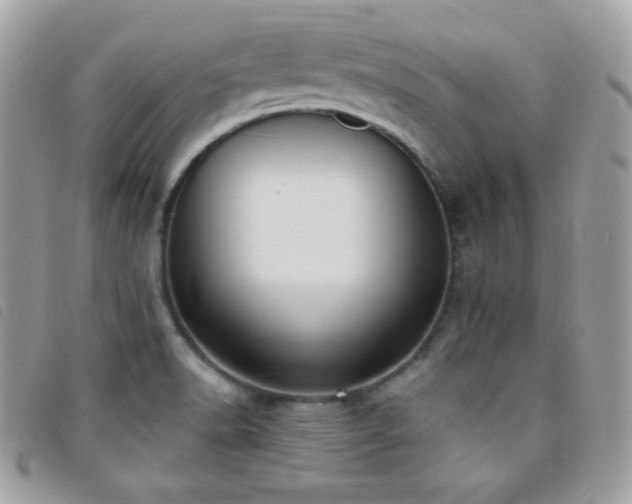 X0000095961518200801111351