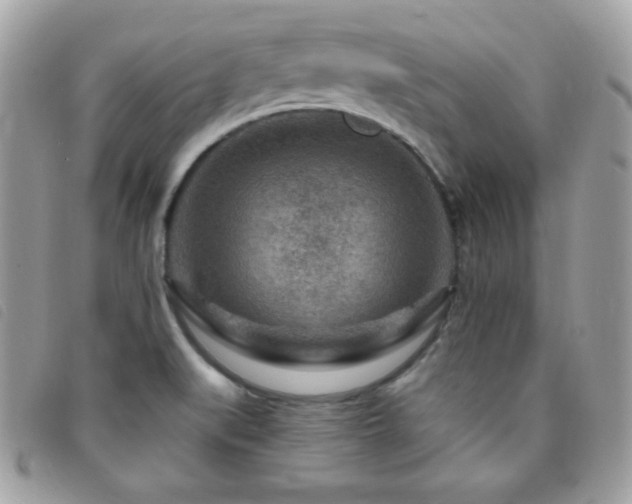 X0000095961519200801111351