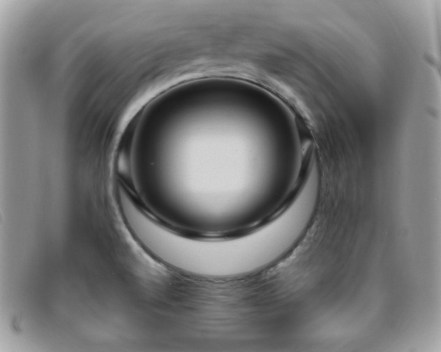 X0000095961520200801111351