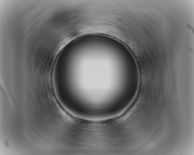X0000095961521200801111351